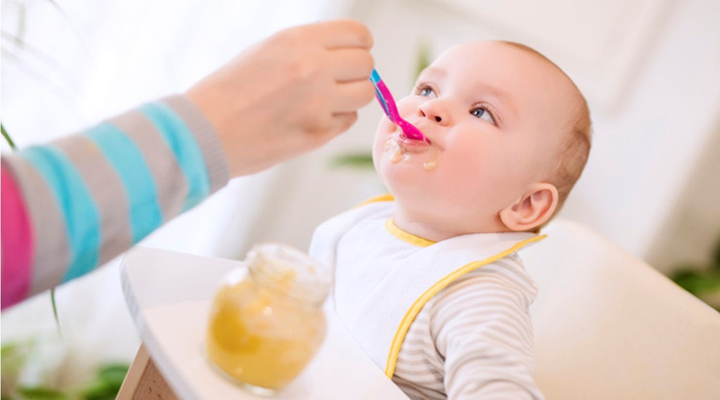 Qué dar de comer a un bebé de 6 meses?