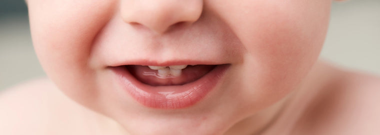 ¿Cuándo le salen los dientes a los bebés?