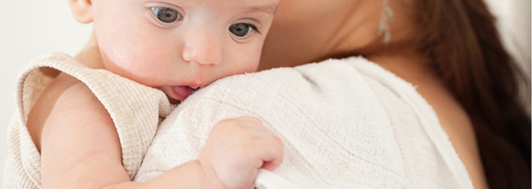 Enfamil Confort - Leche infantil para bebés lactantes con transtornos  digestivos leves
