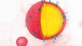 MFGM: ¿Qué es y qué beneficios tiene?